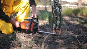  Miamitown, OH Tree Removal and Landscaping Services Pros